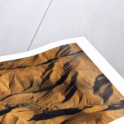 The desert near the Dead Sea. by Anonymous