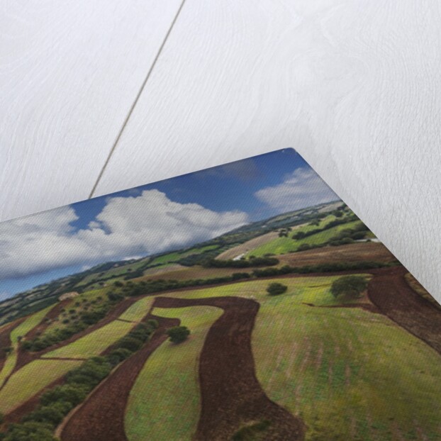 Working a field near Manciano, air view by drone by Anonymous