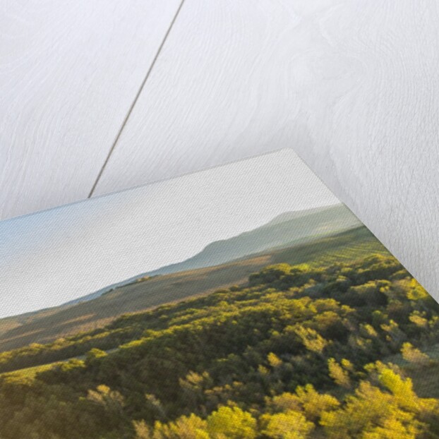 Orcia river near Pienza, air view by drone by Anonymous