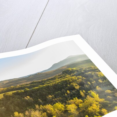 Orcia river near Pienza, air view by drone by Anonymous