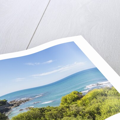 Quercianella, the coast and the beach by Anonymous