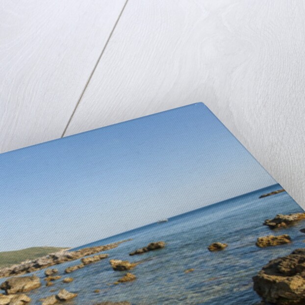 Mar Morto beach by Anonymous