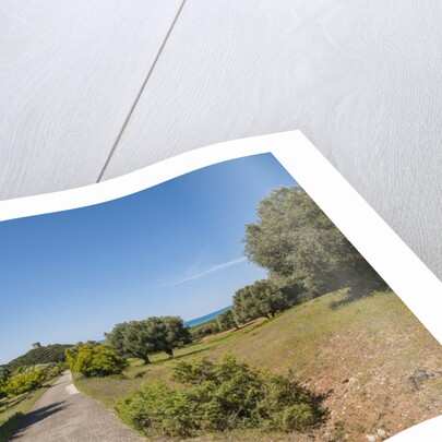 Parco Regionale della Maremma (parco dell'Uccellina) by Anonymous