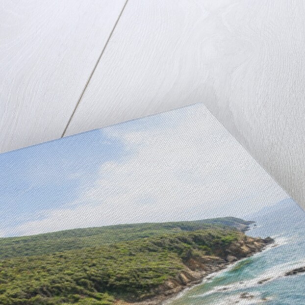 Cala san Quirico, near Buca delle Fate by Anonymous