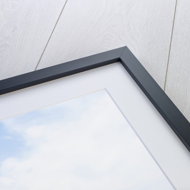 Cala san Quirico, near Buca delle Fate by Anonymous