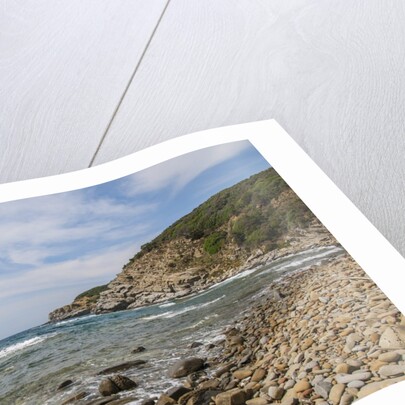 Cala san Quirico, near Buca delle Fate by Anonymous