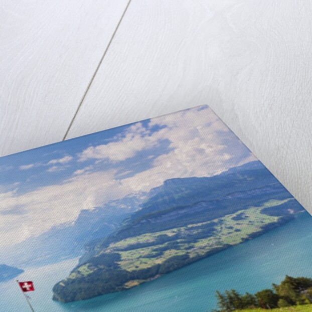 Lake Lucerne by Anonymous