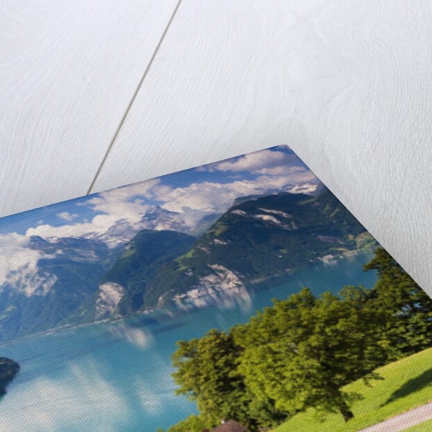 Lake Lucerne by Anonymous