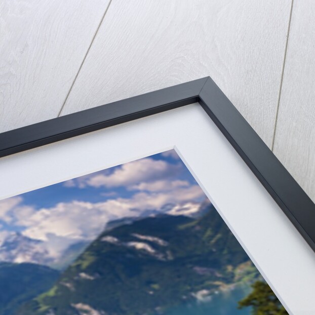 Lake Lucerne by Anonymous