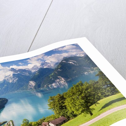 Lake Lucerne by Anonymous