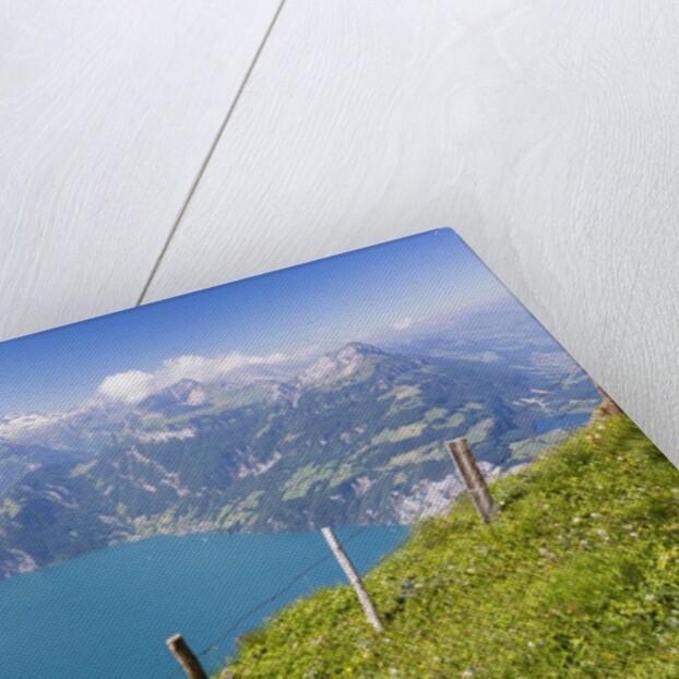 Lake Lucerne by Anonymous