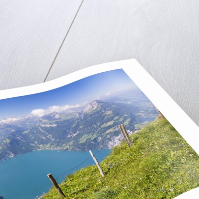 Lake Lucerne by Anonymous