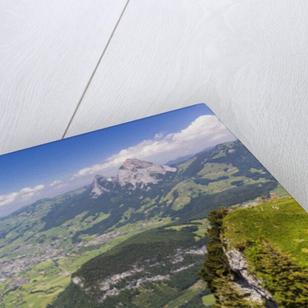 View from Mount Fronalpstock by Anonymous