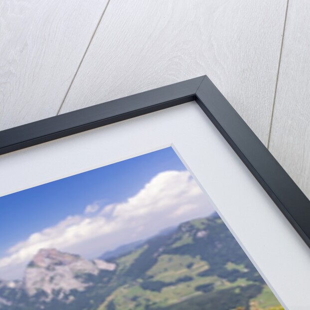 View from Mount Fronalpstock by Anonymous