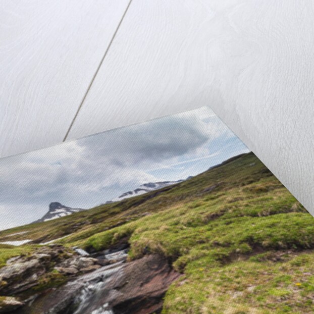 Mountain creek at the Swiss Tectonic Arena Sardona by Anonymous
