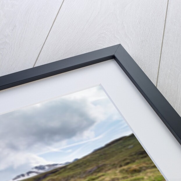 Mountain creek at the Swiss Tectonic Arena Sardona by Anonymous