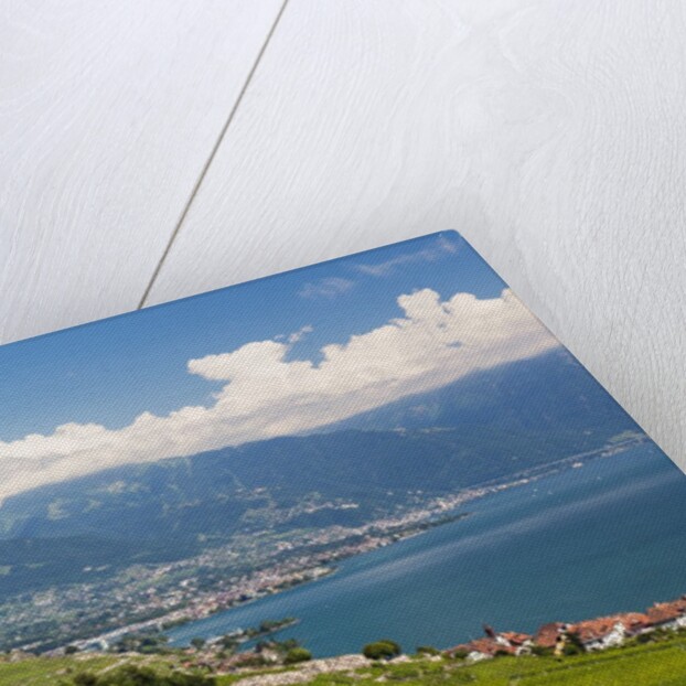 Lavaux vineyards by Anonymous