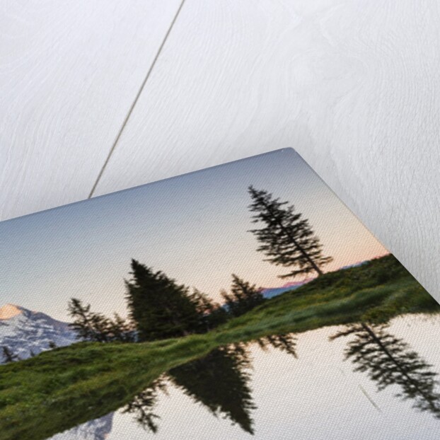 Mount Eiger at sunrise by Anonymous