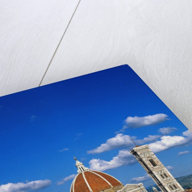 Santa Maria del Fiore in Florence by Anonymous