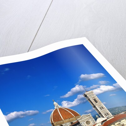 Santa Maria del Fiore in Florence by Anonymous