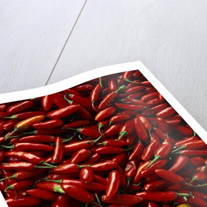 Abundance of Red Chilies by Corbis