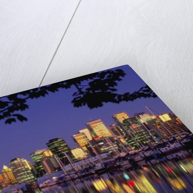 Vancouver and Lost Lagoon at Night by Anonymous