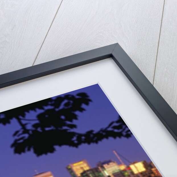 Vancouver and Lost Lagoon at Night by Anonymous