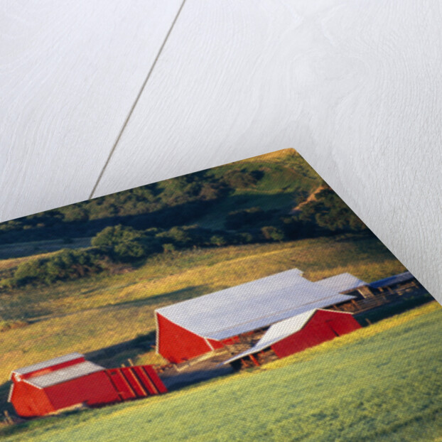 Fields Surrounding Red Barns by Anonymous
