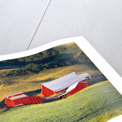 Fields Surrounding Red Barns by Anonymous