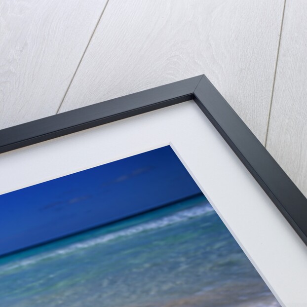Conch Shell On Quiet Beach by Anonymous