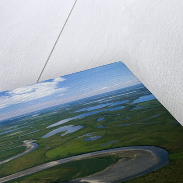 Tundra in Alaska by Anonymous
