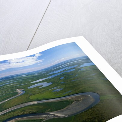 Tundra in Alaska by Anonymous