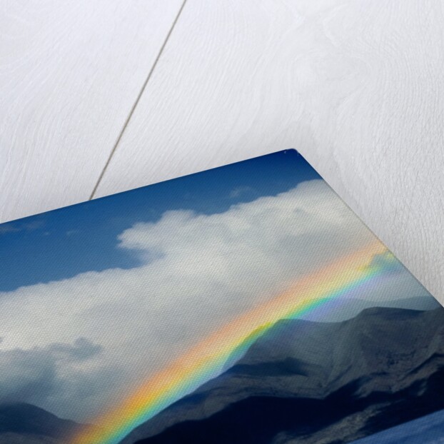 Rainbow over Breaching Humpback Whale by Anonymous