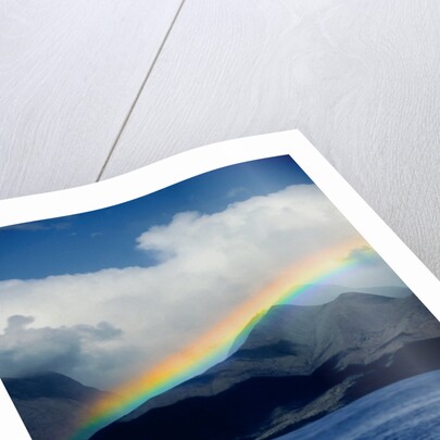 Rainbow over Breaching Humpback Whale by Anonymous
