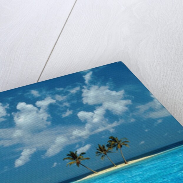 Sailing on the Blue Sea by Anonymous