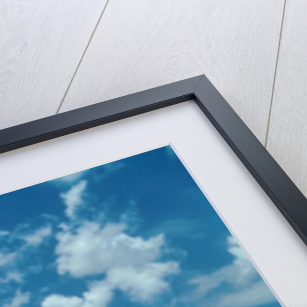 Sailing on the Blue Sea by Anonymous