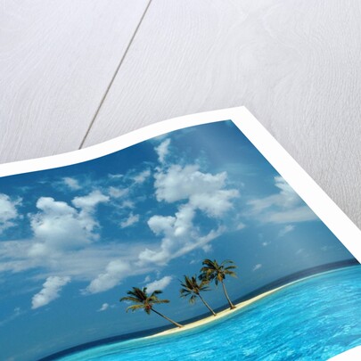 Sailing on the Blue Sea by Anonymous