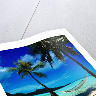 Hammock Hanging Seaside by Corbis