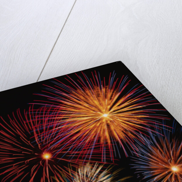 Night Sky Filled with Fireworks by Anonymous