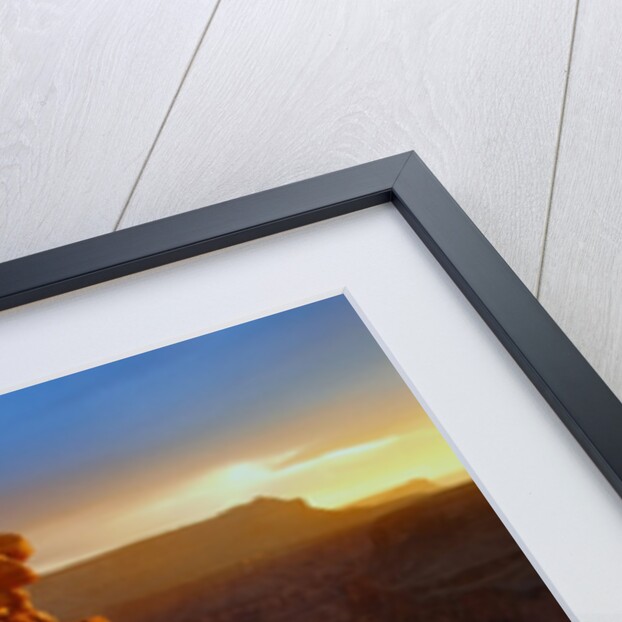 Grand Canyon at Sunset by Anonymous