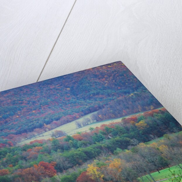 Rural Setting in Great Smoky Mountains by Anonymous