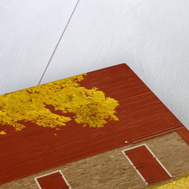 Autumn Tree by Red Barn by Anonymous