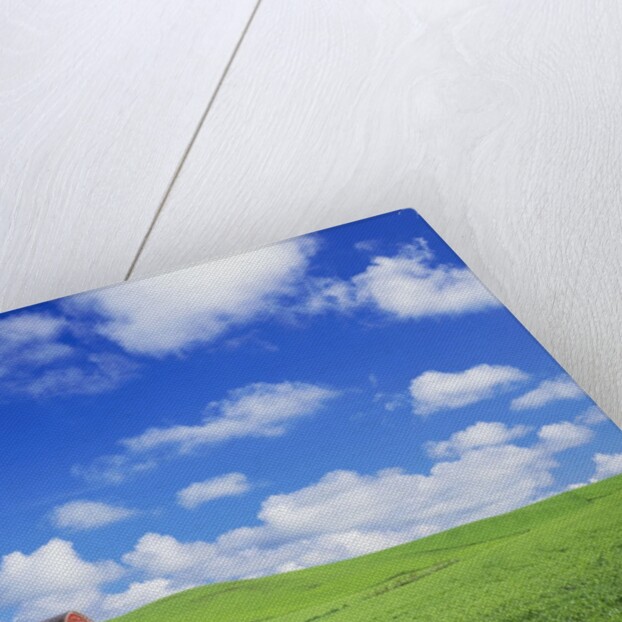 Old Barn Amidst Pea Field by Anonymous