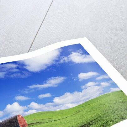 Old Barn Amidst Pea Field by Anonymous