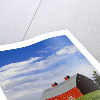 Old Red Barn in Field by Anonymous