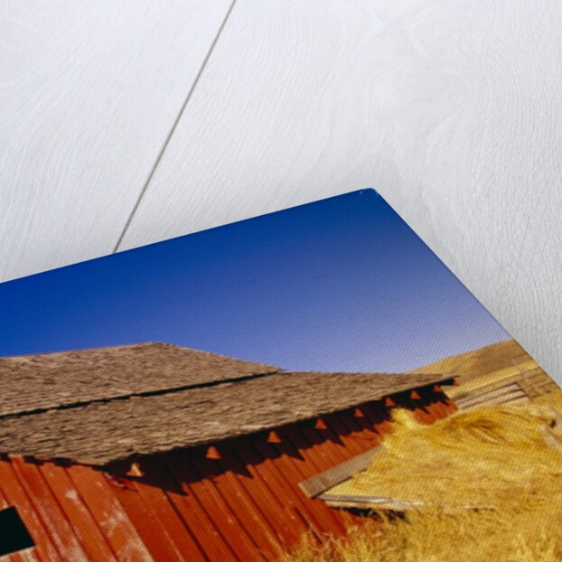 Weathered Old Barn on Ranch by Anonymous