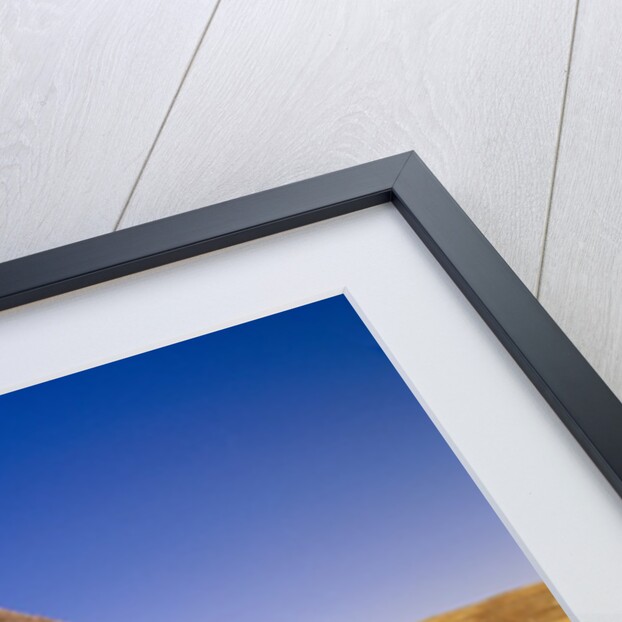 Weathered Old Barn on Ranch by Anonymous