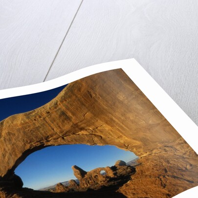North Window and Turret Arch by Anonymous