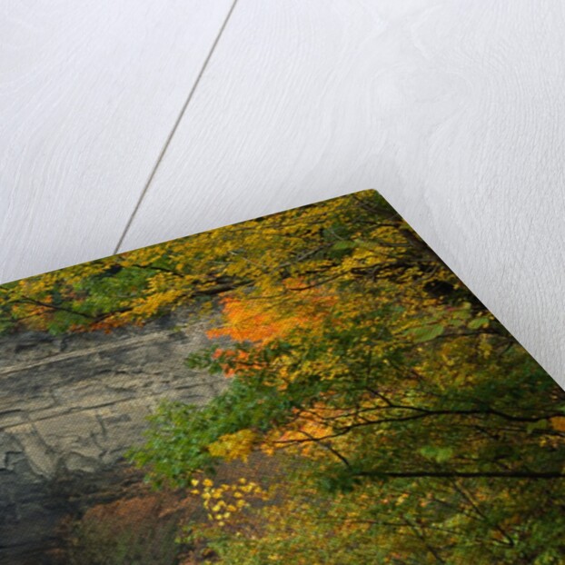 Waterfall Amongst Autumn Foliage by Anonymous