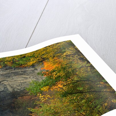 Waterfall Amongst Autumn Foliage by Anonymous